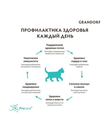 Grandorf Feed for kittens lambs with a kitten turkey 2 kg - Buy Online on GoSupps.com