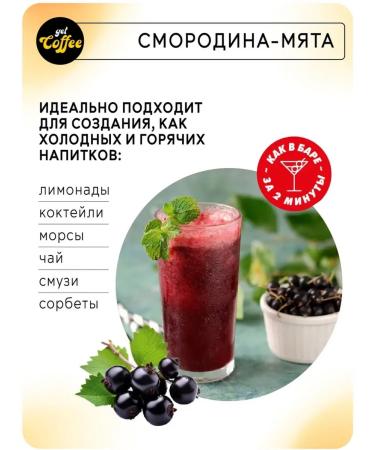 Richeza Blackcurrant-Mint Concentrate for Cocktails and Smoothies 1 liter - Buy Online on GoSupps.com