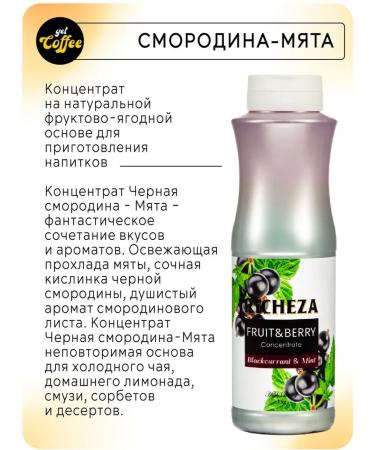 Richeza Blackcurrant-Mint Concentrate for Cocktails and Smoothies 1 liter - Buy Online on GoSupps.com