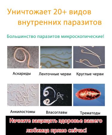 Repellents from fleas and ticks for cats and dogs 200 tab - Buy Online on GoSupps.com