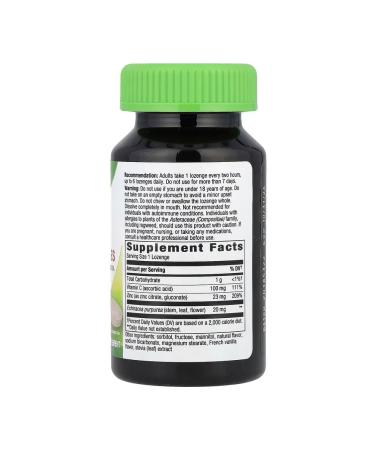 Nature's Way Layouts for resorption with zinc 60 vegan tablets - Buy Online on GoSupps.com