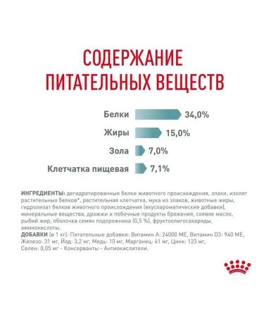 ROYAL CANIN Dry Hairball Care Feed for Cat Hairboll 2 kg - Buy Online on GoSupps.com