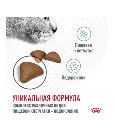 ROYAL CANIN Dry Hairball Care Feed for Cat Hairboll 2 kg - Buy Online on GoSupps.com