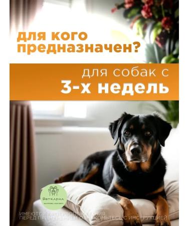 Apicenna Dirophen tablets for large dogs 6 tab - Buy Online on GoSupps.com