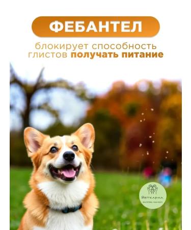 Apicenna Dirophen tablets for large dogs 6 tab - Buy Online on GoSupps.com