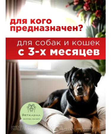 Neoterica Drops of celandine maximum for dogs with lavender 4 peep - Buy Online on GoSupps.com