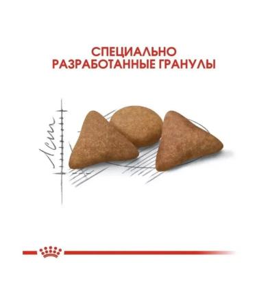 ROYAL CANIN Dry food for cats Indodor Indoor Appetite Control 2 kg - Buy Online on GoSupps.com