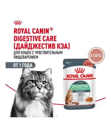 ROYAL CANIN Wet feed for cats Digesz KEA 85g x 10pcs sauce - Buy Online on GoSupps.com