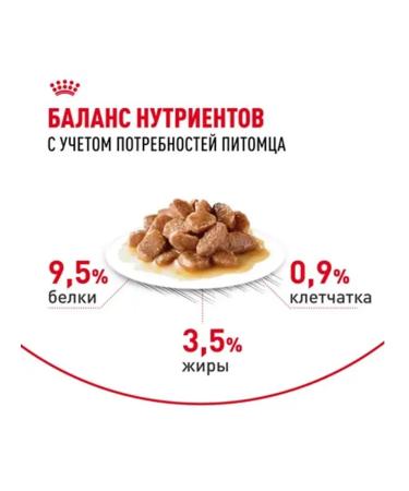 ROYAL CANIN Wet feed for cats Digesz KEA 85g x 10pcs sauce - Buy Online on GoSupps.com