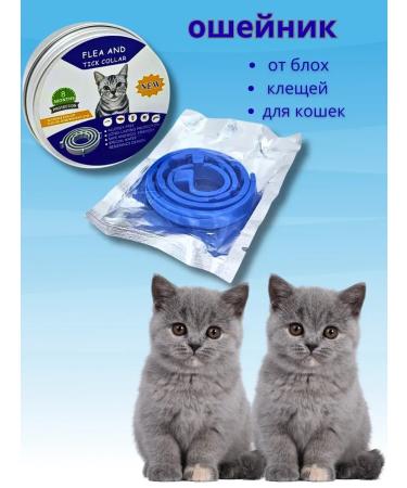 ZAYN 81 Collar for cats and kittens from fleas and parasites