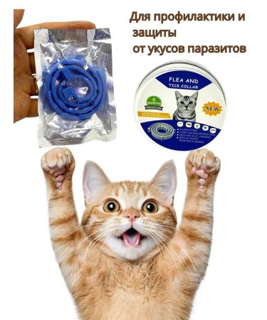 ZAYN 81 Collar for cats and kittens from fleas and parasites - Buy Online on GoSupps.com