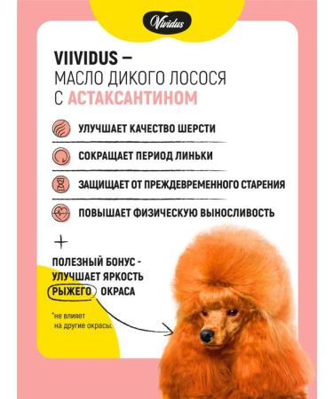 Vividus Animal additive salmon oil with astaxantin - 100 ml - Buy Online on GoSupps.com