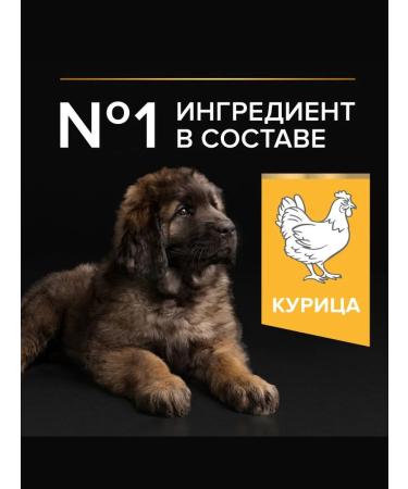 PRO PLAN Dry food for powerful krep puppies chicken 12 kg - Buy Online on GoSupps.com