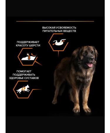 PRO PLAN Dry food for powerful krep dogs chicken 14 kg - Buy Online on GoSupps.com