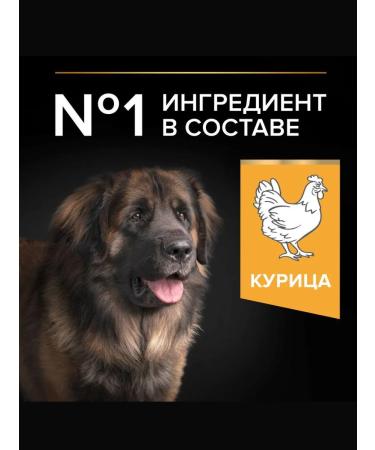 PRO PLAN Dry food for powerful krep dogs chicken 14 kg - Buy Online on GoSupps.com