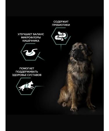 PRO PLAN Dry food for powerful krep dogs lamb 14 kg - Buy Online on GoSupps.com