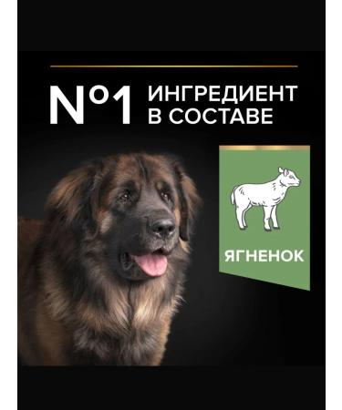 PRO PLAN Dry food for powerful krep dogs lamb 14 kg - Buy Online on GoSupps.com