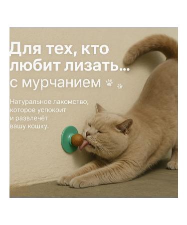 Lick lick for cats - Buy Online on GoSupps.com