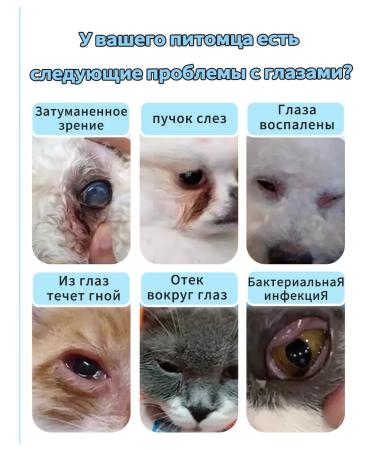 Drops for the eyes for cats and dogs 20 ml - Buy Online on GoSupps.com