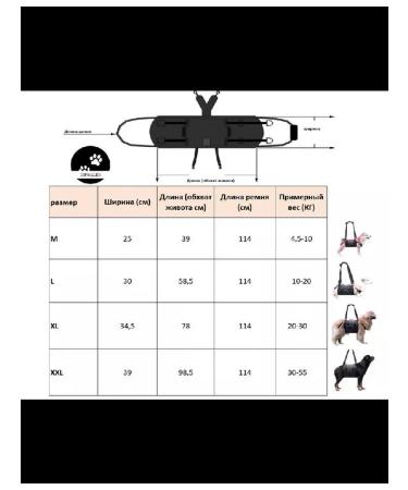 Walkers for dogs. L - Buy Online on GoSupps.com