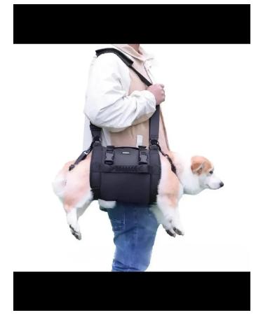 Walkers for dogs. L - Buy Online on GoSupps.com