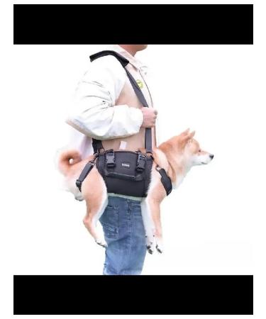 Walkers for dogs. L - Buy Online on GoSupps.com