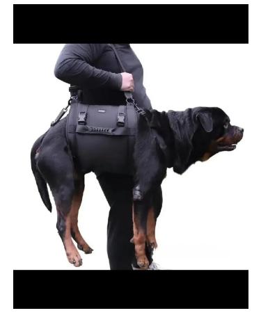 Walkers for dogs. L - Buy Online on GoSupps.com