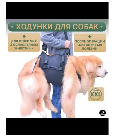 Walkers for dogs. XXL