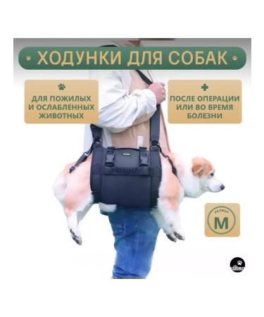 Walking straps for dogs m