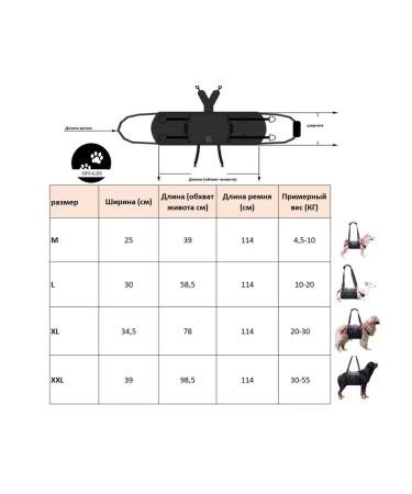 Walking straps for dogs m - Buy Online on GoSupps.com