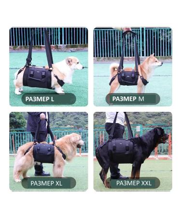 Walking straps for dogs m - Buy Online on GoSupps.com
