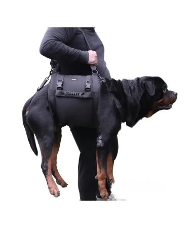 Walking straps for dogs m - Buy Online on GoSupps.com
