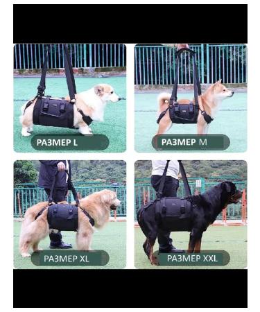 Walkers for dogs. XL - Buy Online on GoSupps.com