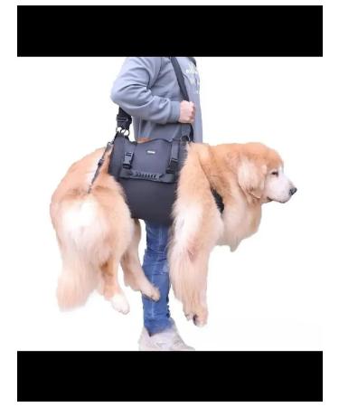 Walkers for dogs. XL - Buy Online on GoSupps.com