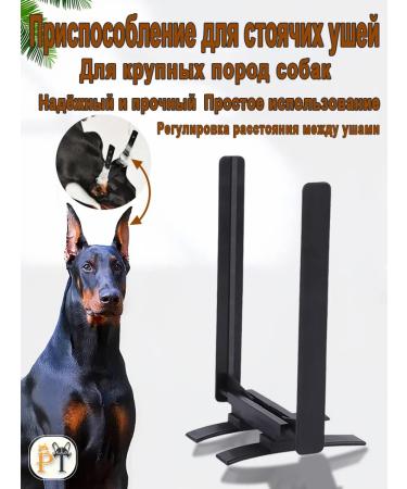 Ear holder for Doberman