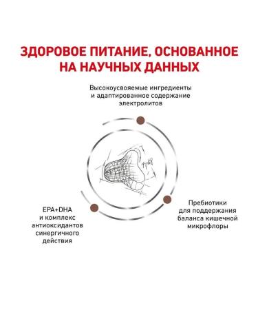 ROYAL CANIN Dry food (with digestive disorders) 2kg - Buy Online on GoSupps.com