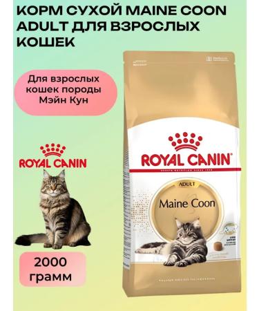 ROYAL CANIN Dry food for adult cats of the breed Main Kun 2 kg