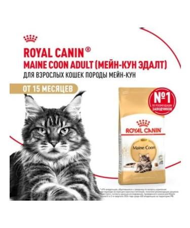 ROYAL CANIN Dry food for adult cats of the breed Main Kun 2 kg - Buy Online on GoSupps.com