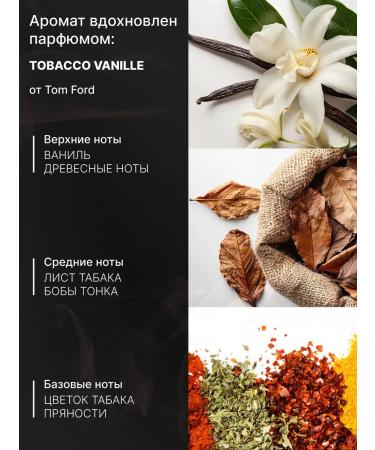 The Bunt Selective Brief body set - Buy Online on GoSupps.com