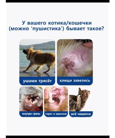 Use drops for cats - Buy Online on GoSupps.com