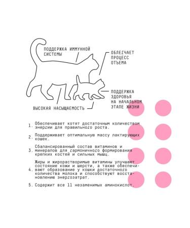 AJO Kitten & Mom for kittens pregnant and nursing cats 10 kg - Buy Online on GoSupps.com