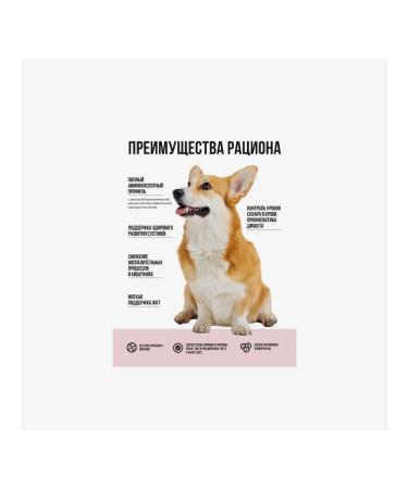 BOWL WOW Dry food for medium dogs with turkey rice and apple 2kg - Buy Online on GoSupps.com