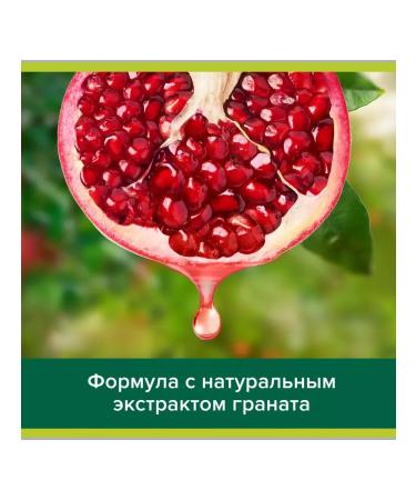 PALMOLIVE Container shampoo shine and care grenade 450 ml 2pcs - Buy Online on GoSupps.com