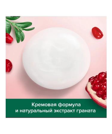 PALMOLIVE Container shampoo shine and care grenade 450 ml 2pcs - Buy Online on GoSupps.com