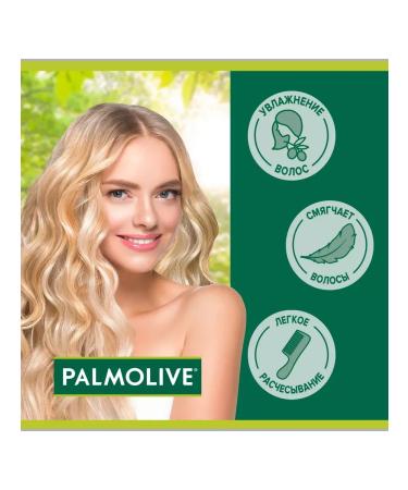 PALMOLIVE Container shampoo shine and care grenade 450 ml 2pcs - Buy Online on GoSupps.com