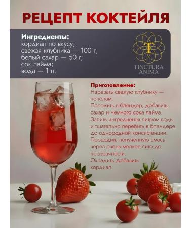 Tinctura Anima Cordial of tomato-club-kimchi 700 ml - Buy Online on GoSupps.com