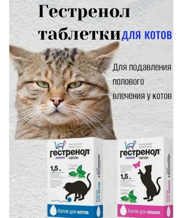 Good Dog&Cat Gestrenol for cats in tablets 10 pcs - Buy Online on GoSupps.com