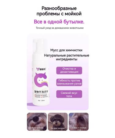 Dry foam for degeneration of sphinxes - Buy Online on GoSupps.com