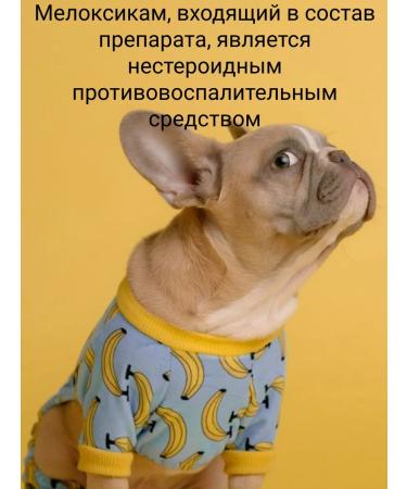 VET STATION Nebulin-light 5 ml - Buy Online on GoSupps.com