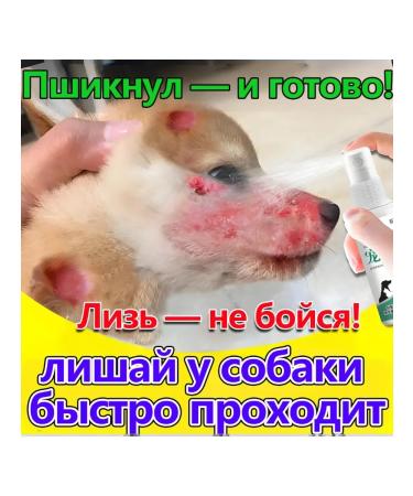 Spray from lichen for dogs